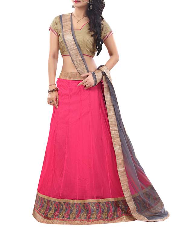 pink net panelled lehenga