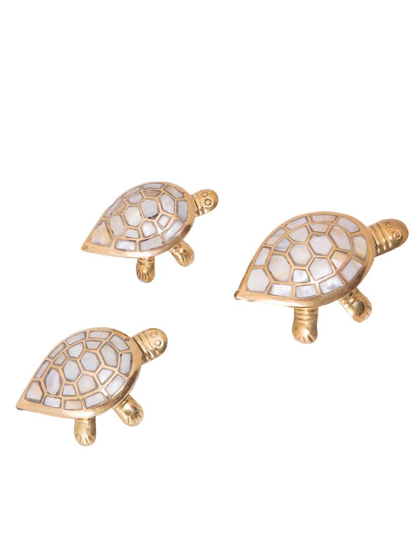 brass 3 wish fulfilling tortoise with secret wish compartment gift set