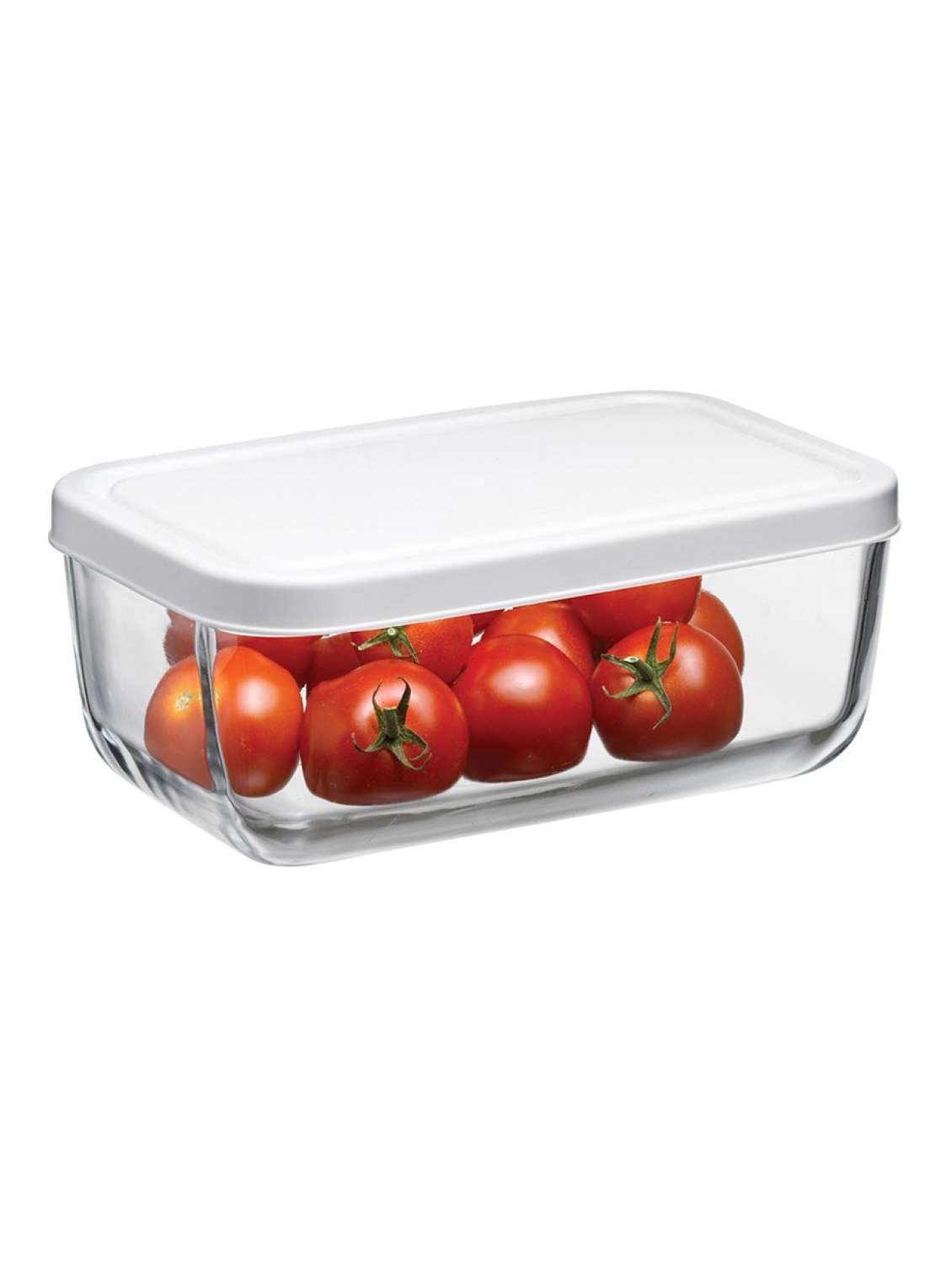 snow box medium container with lid 