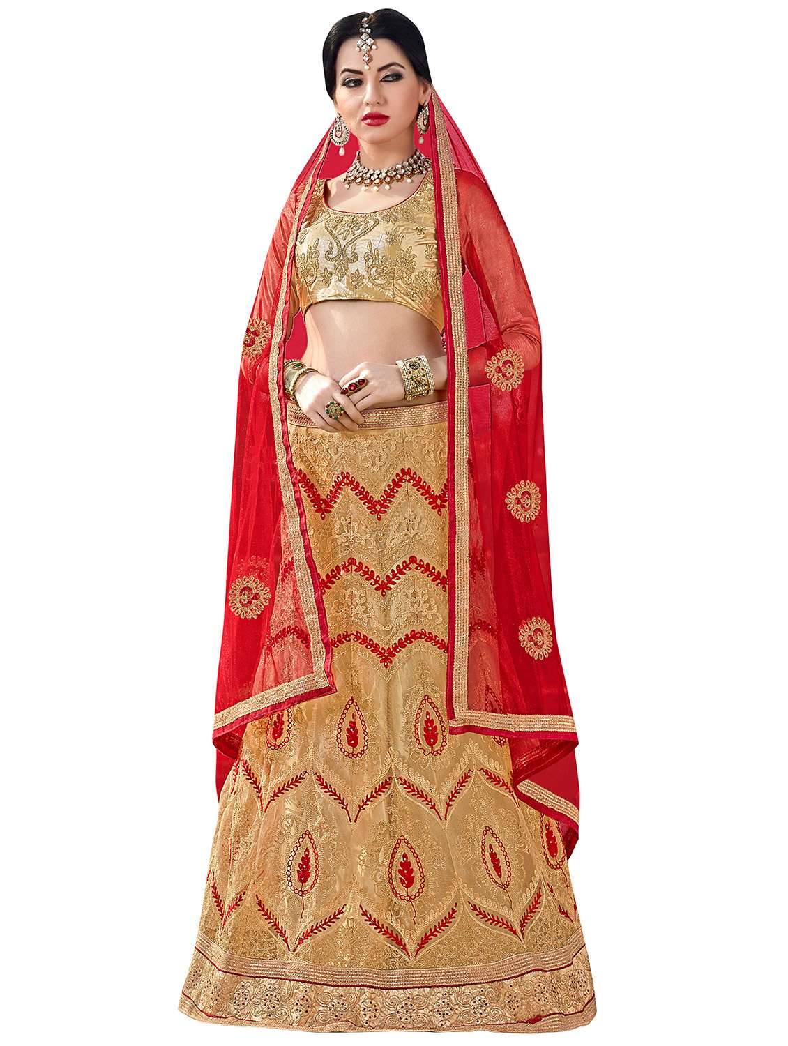 embroidered a-line lehenga