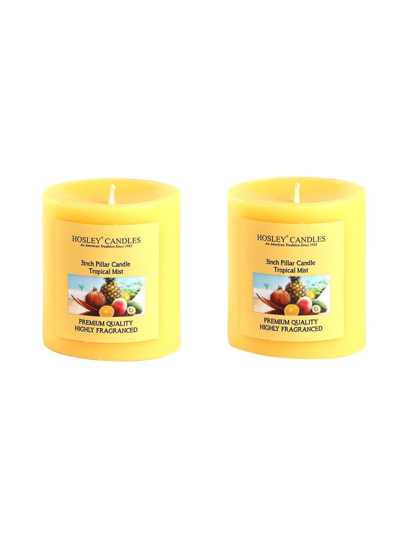 set of 2 tropical mist 3 inch pillar candles