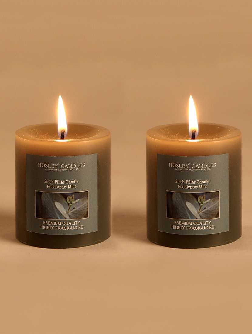 set of 2 eucalyptus mint 3 inch pillar candles