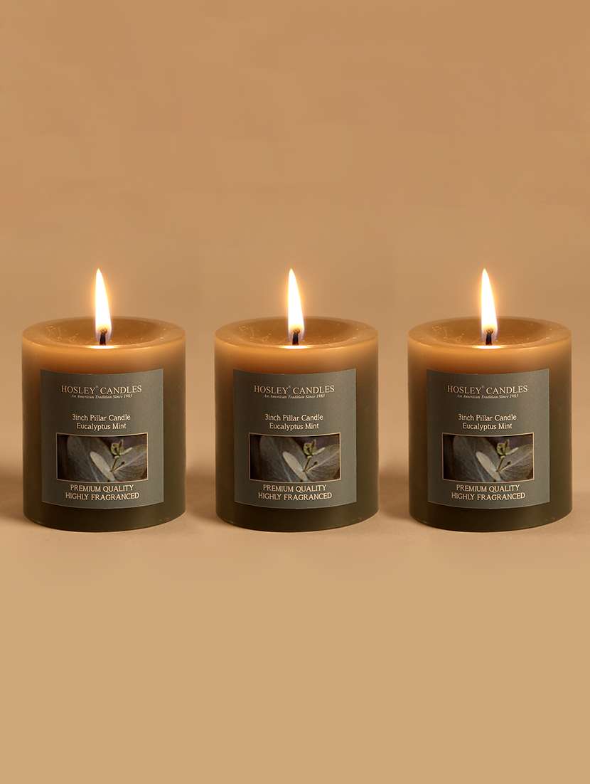 set of 3 eucalyptus mint 3 inch pillar candles