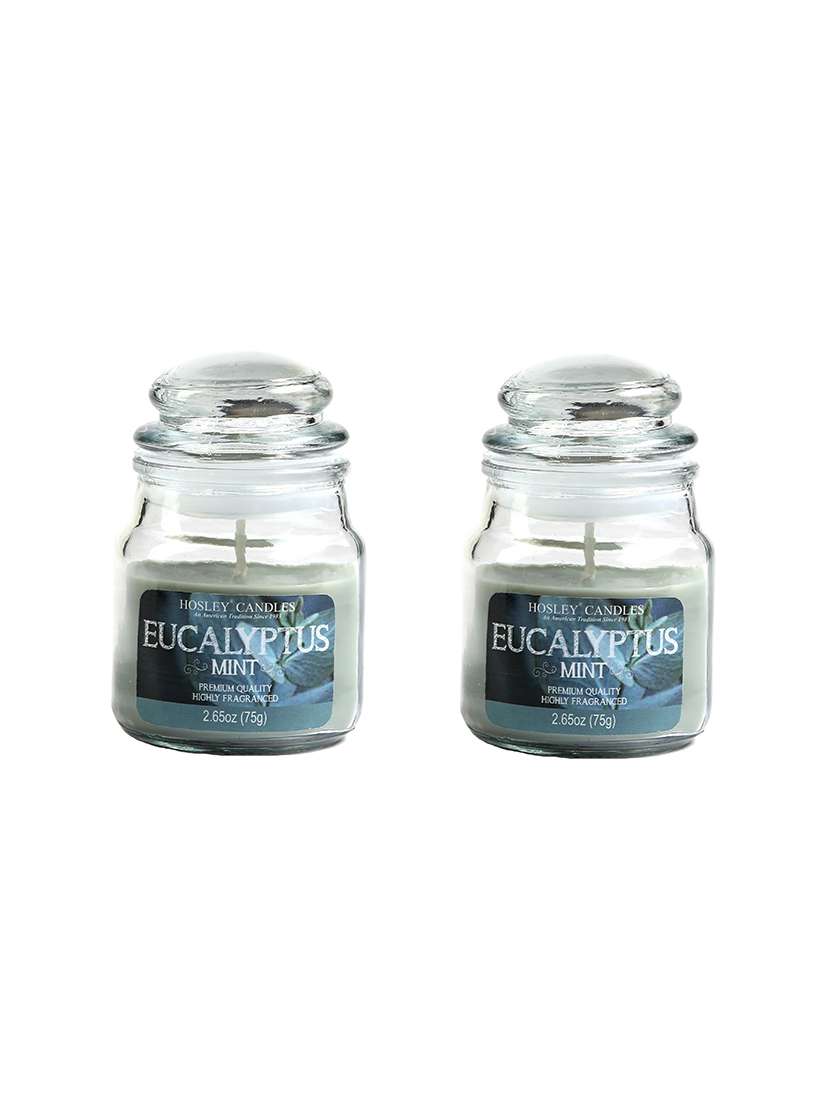 set of 2 eucalyptus mint (75g)