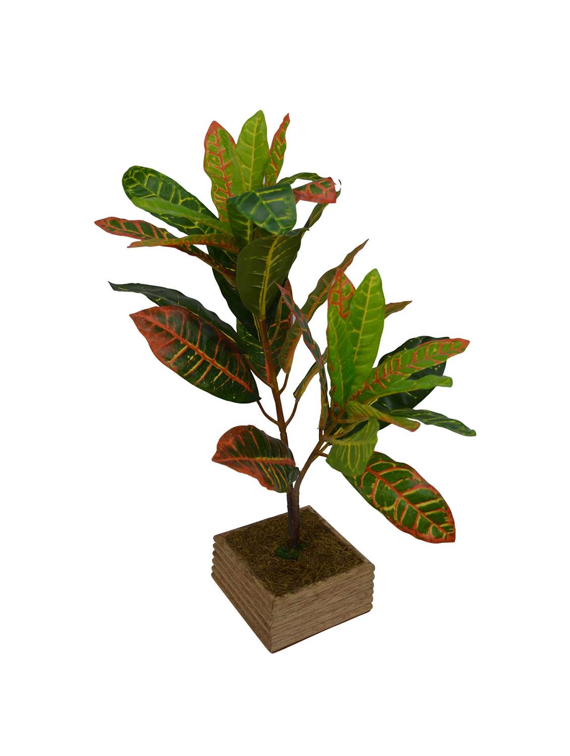 Artificial Plant Croton (50 cm/ 20 inchs) in comb 3" Wood pot