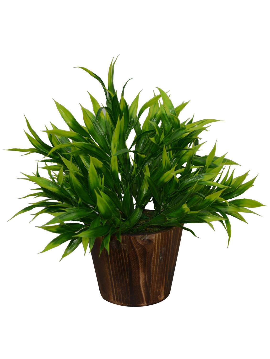 Artificial Plant Bamboo (28 cm/ 11 inchs) in Wood round big pot