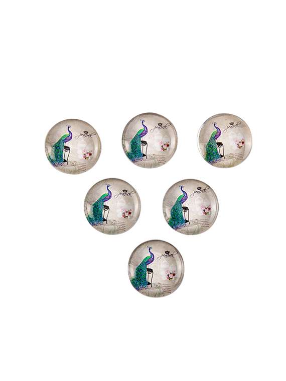 set of 6 fridge magnet