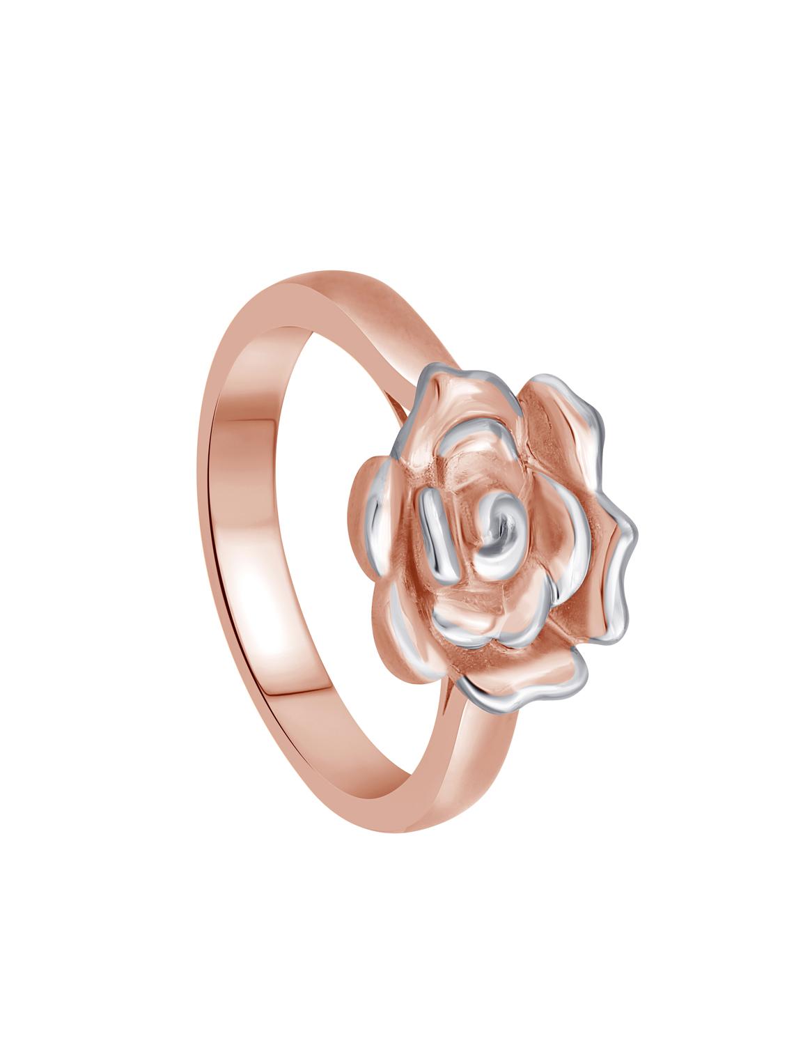 copper metal ring - 15163460 -  Standard Image - 1