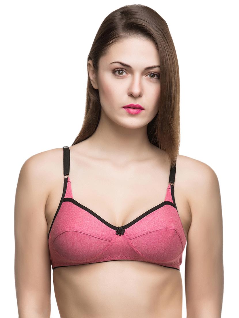 set of 2 multi colored bras - 15491947 - Standard Image - 1