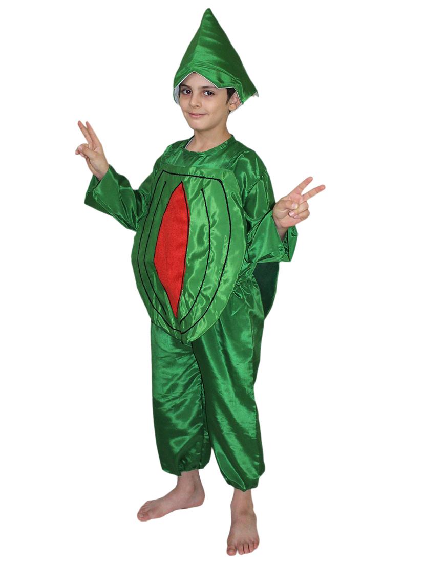 green polyester watermelon costume - 15755569 - Standard Image - 1