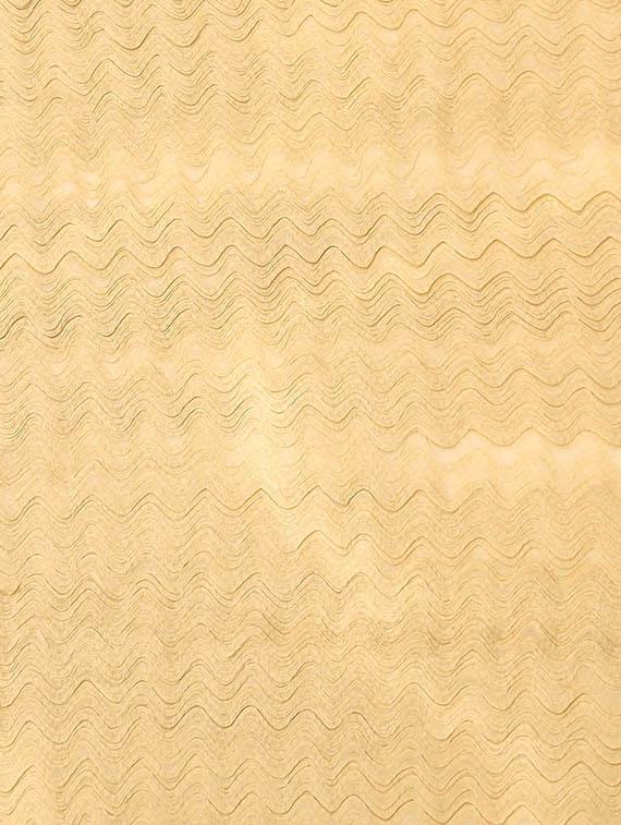 beige chiffon stole - 15835058 -  Standard Image - 1