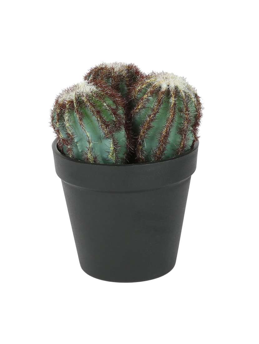 artificial plastic cactus with abs plastic pot by aapno rajasthan - 15970688 -  Standard Image - 1
