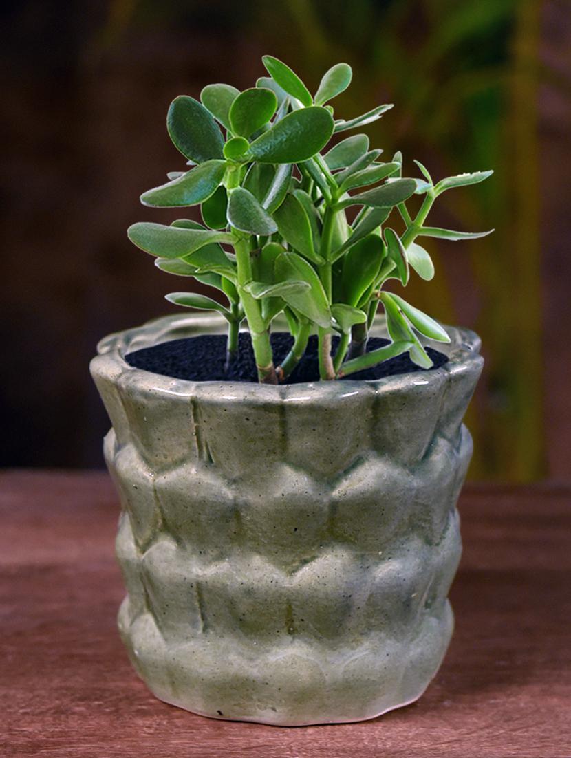 ceramic studio grey bucket table top planter - 16139750 - Zoom Image - 0
