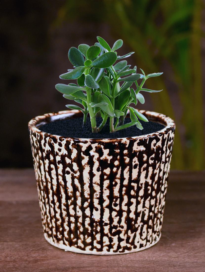 ceramic brown bucket polka dot table top planter - 16139759 - Zoom Image - 0