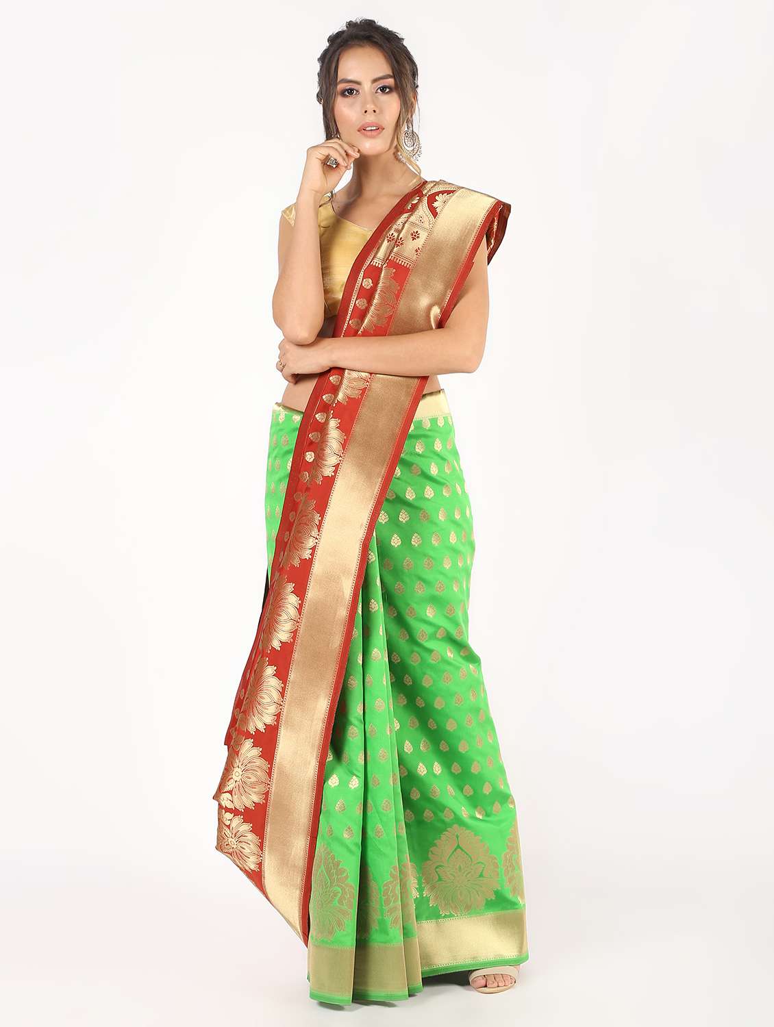ethnic zari motif banarasi saree with blouse