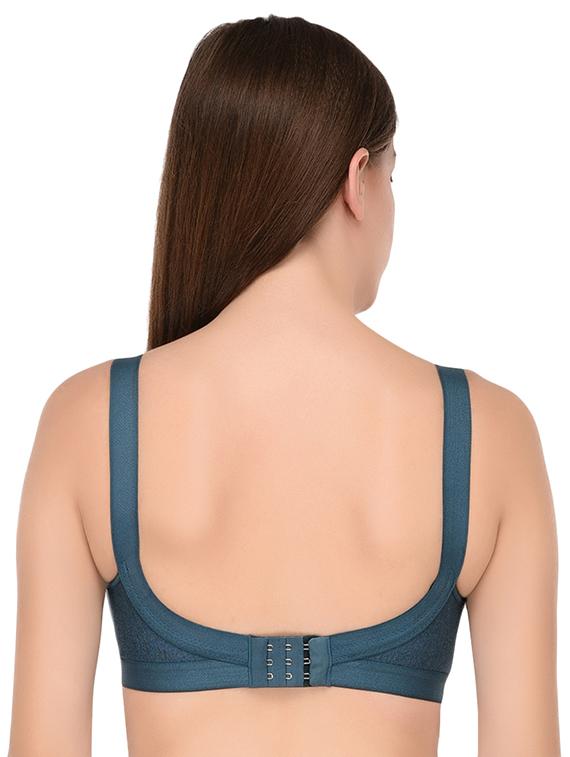 set of 2 solid regular bra - 16482278 - Standard Image - 4