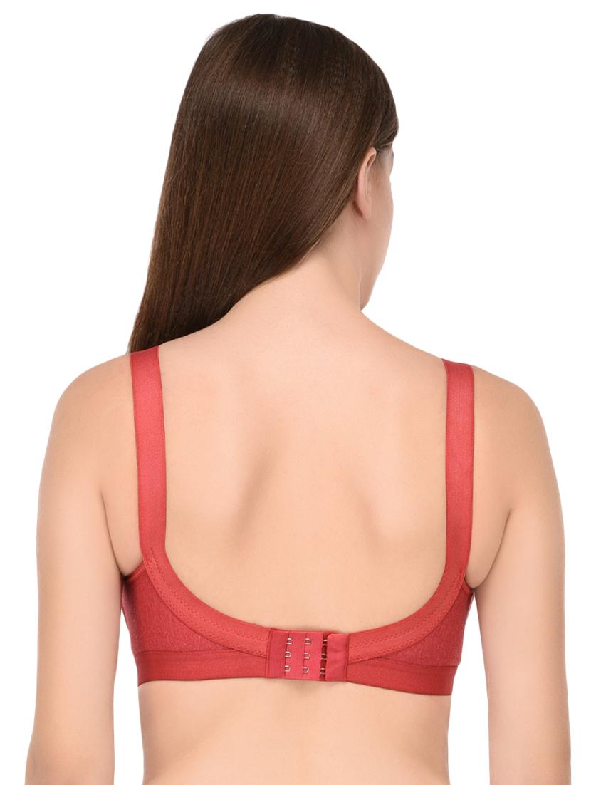 set of 2 solid regular bra - 16482284 - Standard Image - 4