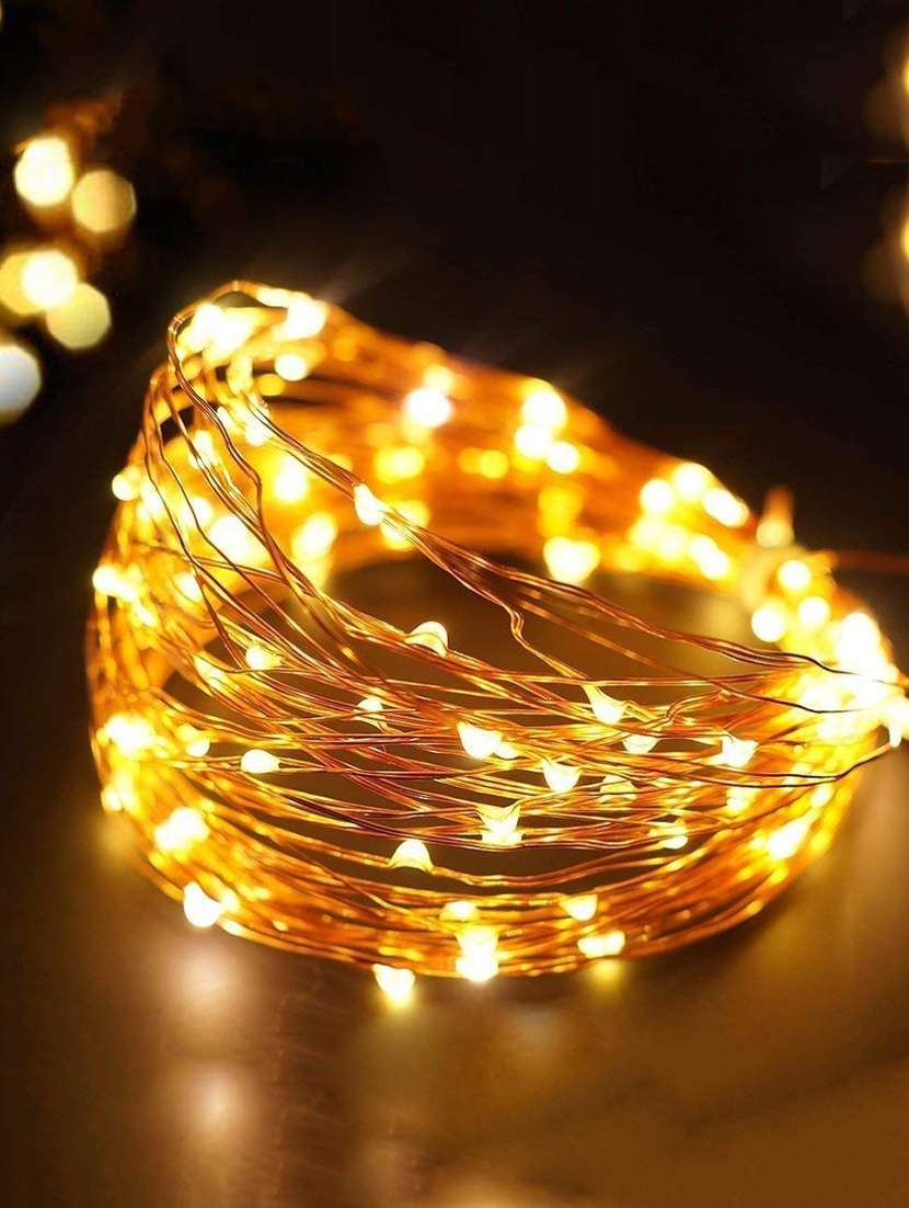 led copper wire string light with adapter  