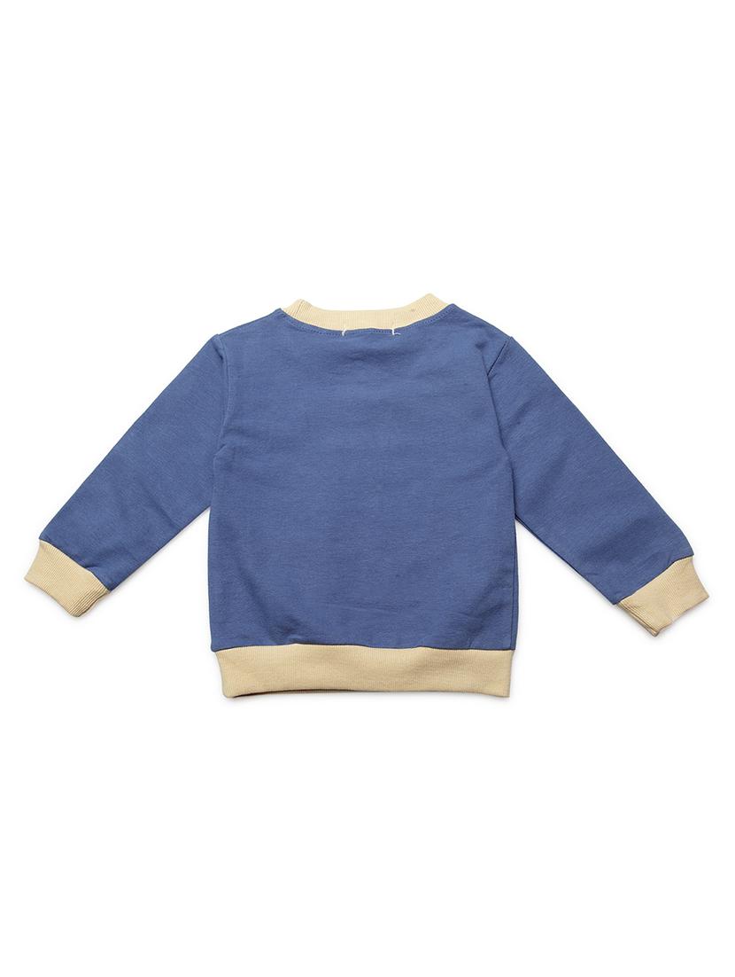 blue cotton sweatshirt - 16822838 - Standard Image - 1