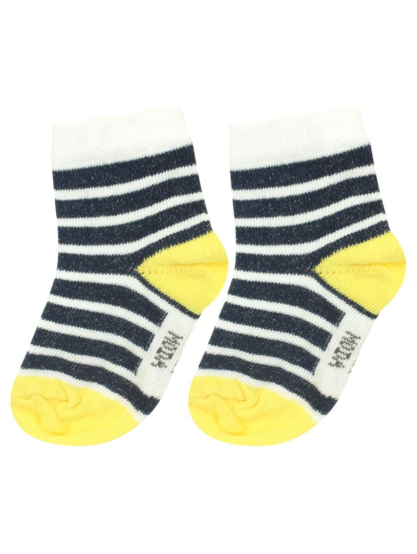 navy blue cotton sock - 16885986 - Standard Image - 1