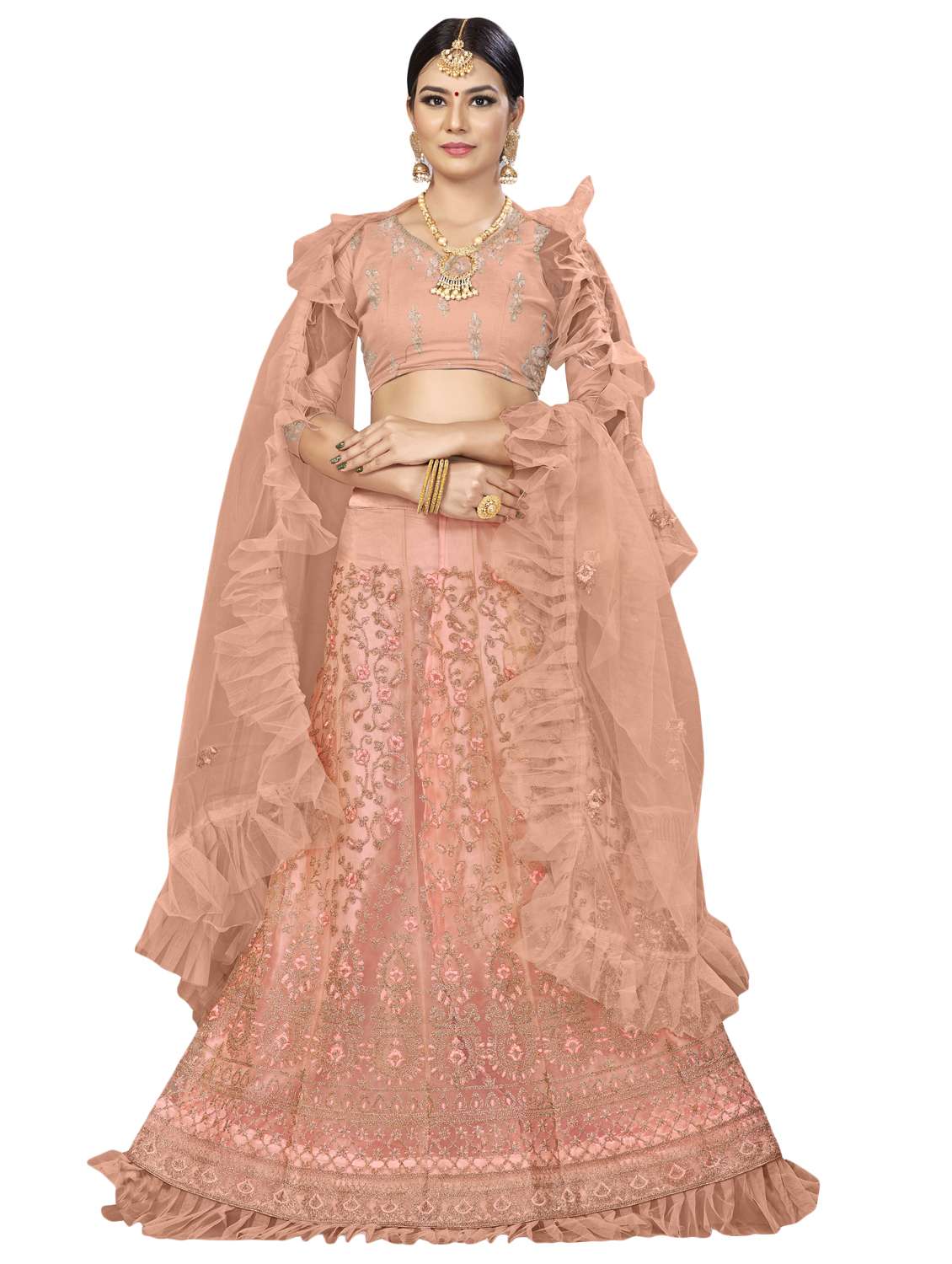 embroidered a-line lehenga