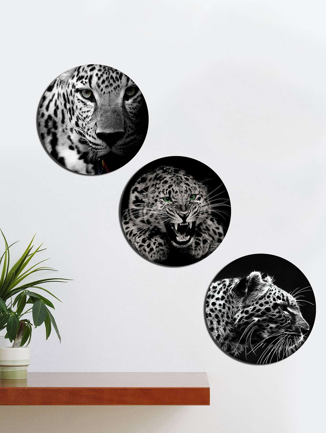 round wall paintings tiger print for living room with wooden frame and without glass - set of 3