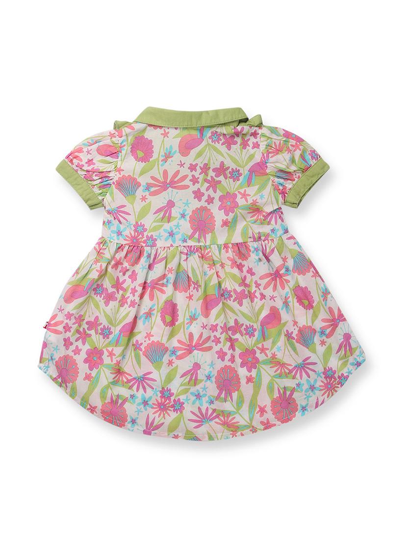 girls collared short sleeves frock - 17009084 -  Standard Image - 1