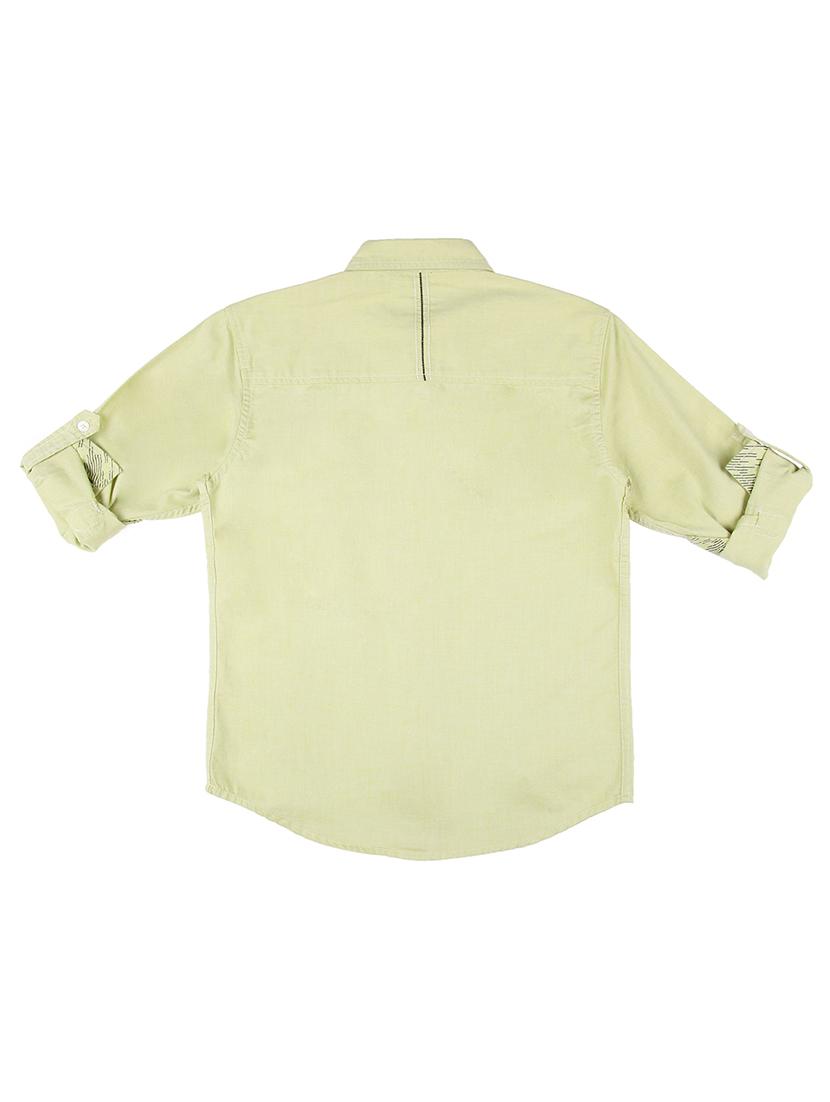 green cotton shirt - 17009281 -  Standard Image - 1