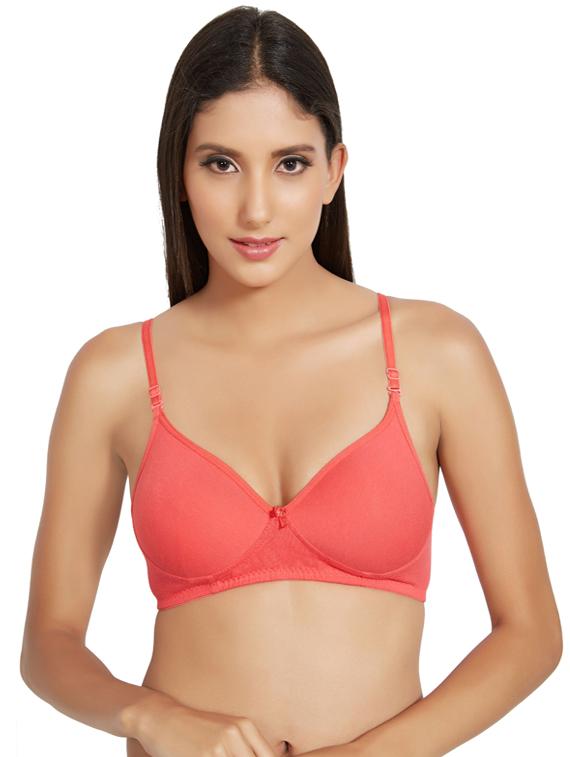 set of 3 3/4 coverage solid t-shirt bra - 17194771 - Standard Image - 1