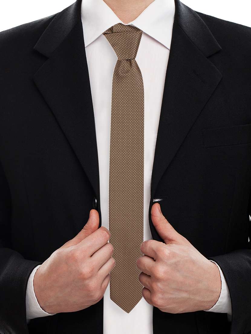 brown  polyester tie  - 17211521 -  Standard Image - 4