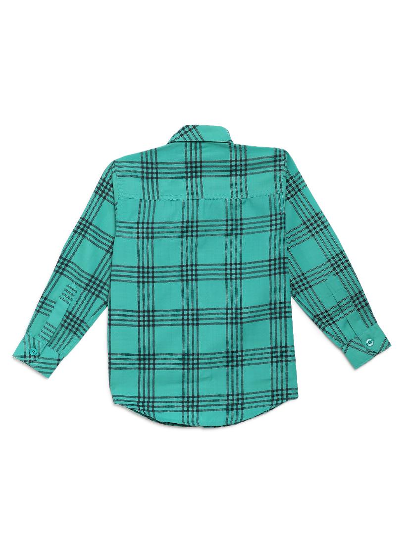 green cotton shirt - 17234251 -  Standard Image - 1
