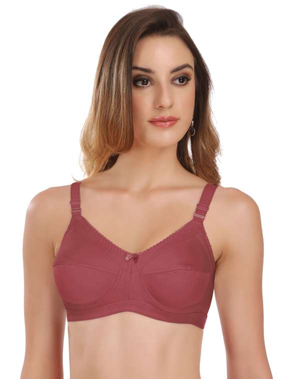 set of 2 full coverage minimizer bra - 17264396 -  Standard Image - 1