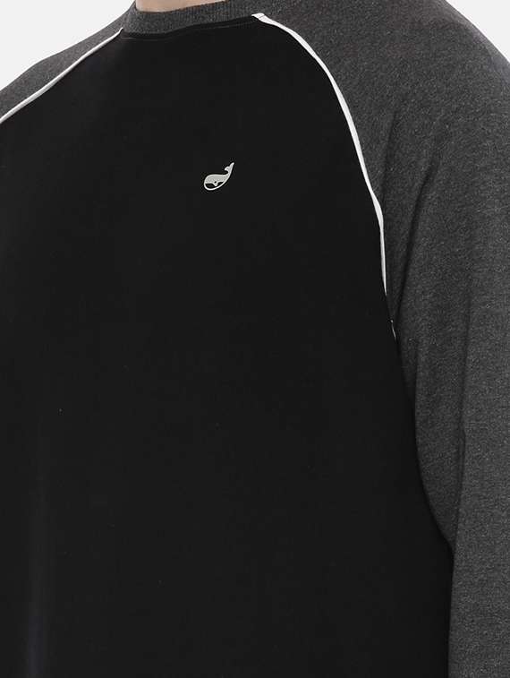 mens plain sweatshirt - 17347637 -  Standard Image - 4