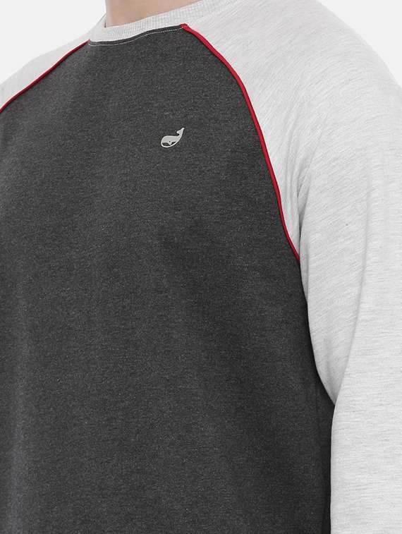 mens color block sweatshirt - 17347638 - Standard Image - 4