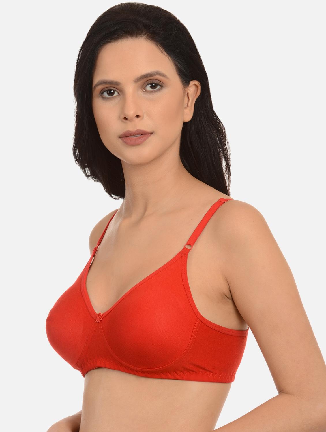 set of 2 bra - 17376345 - Standard Image - 6