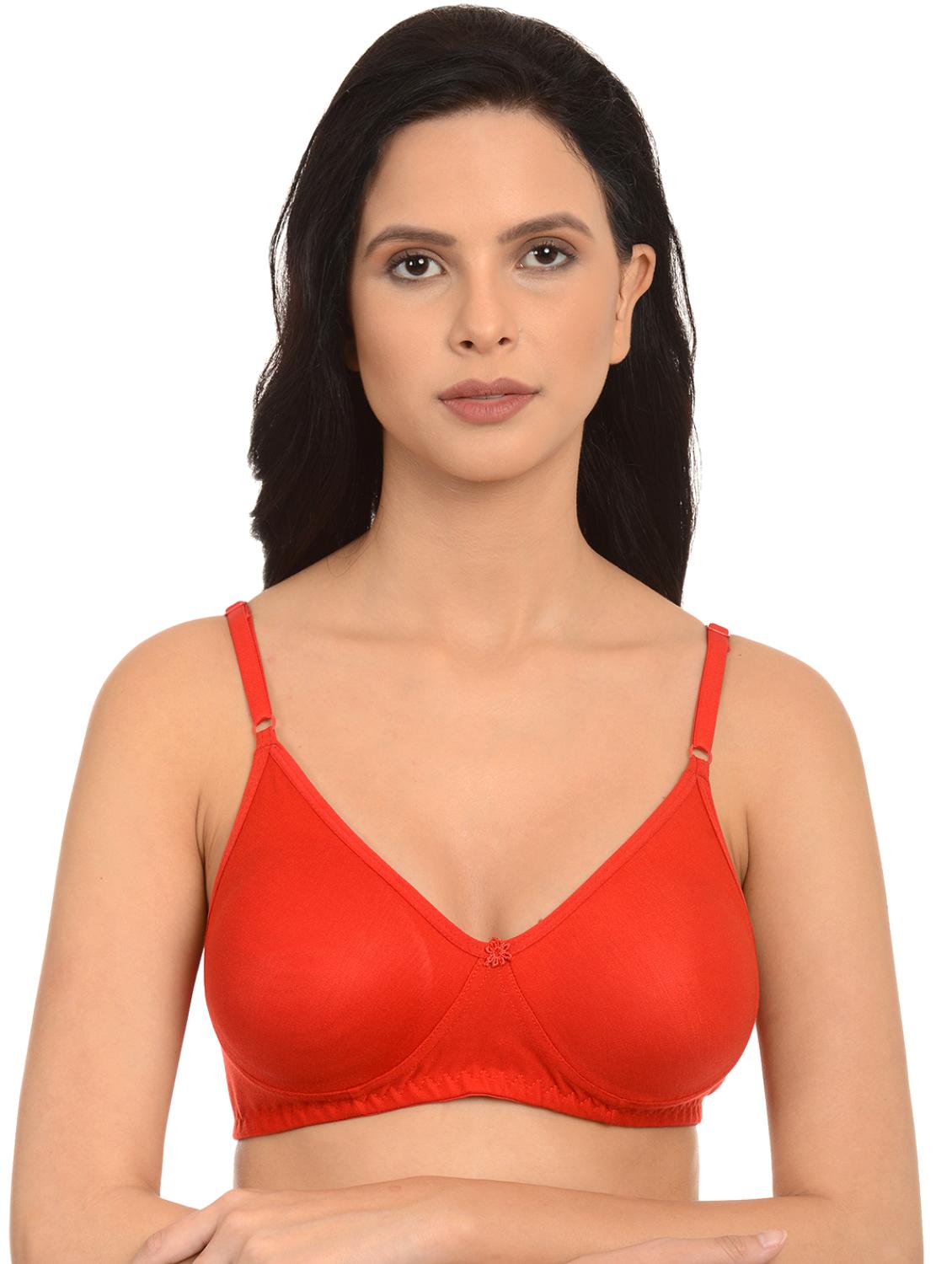 set of 2 bras - 17376358 - Standard Image - 1