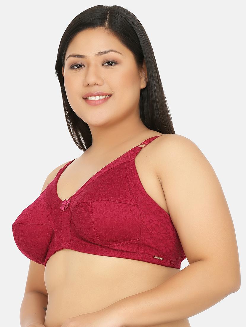 maroon lace plus bra - 17419298 -  Standard Image - 1