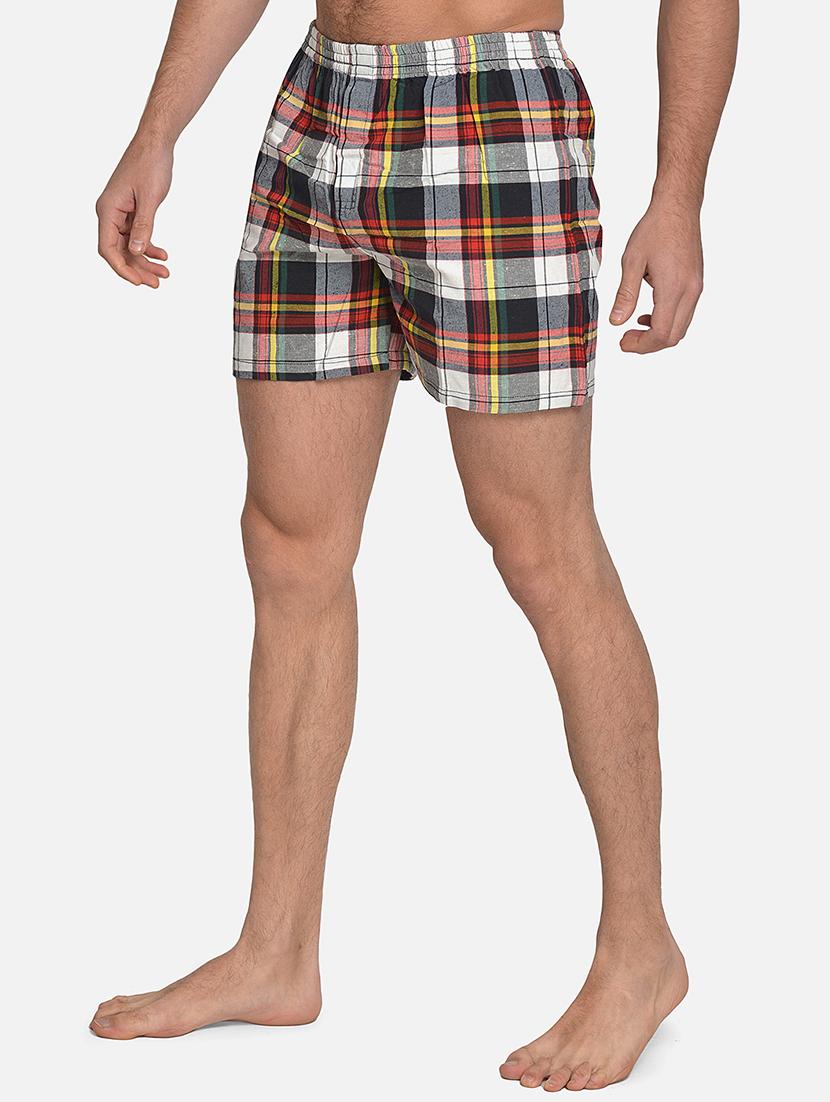 multi colored checkered boxer - 17536449 -  Standard Image - 1