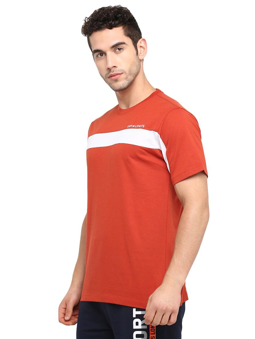 rust color block cut & sew t-shirt - 17632913 -  Standard Image - 1