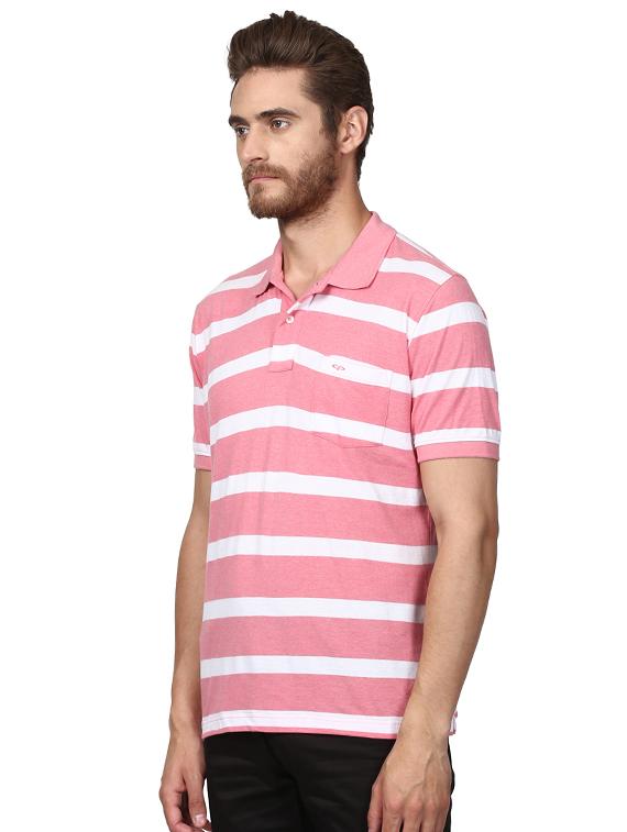 pink striped polo t-shirt - 17697585 -  Standard Image - 1