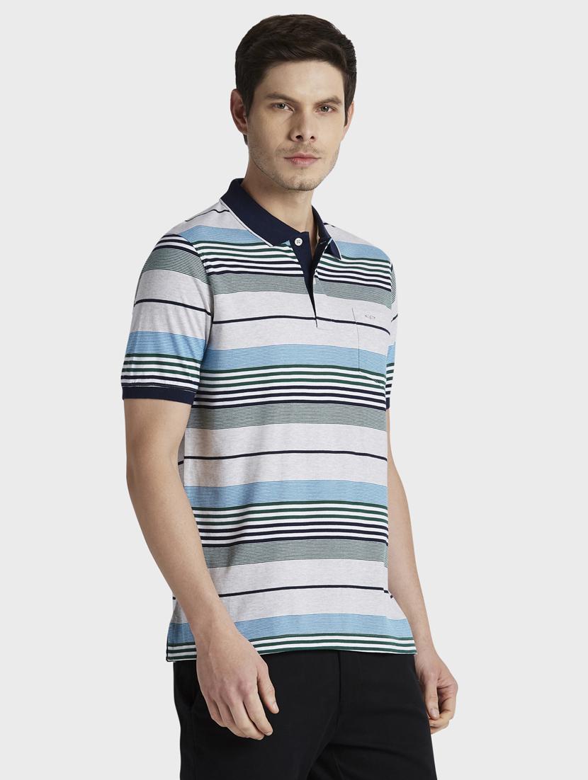 grey striped polo t-shirt - 17804781 -  Standard Image - 1