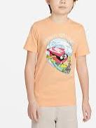 kids t shirt pure cotton - 17806474 - Standard Image - 1