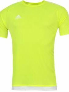 green cotton tshirt - 17837778 - Standard Image - 1