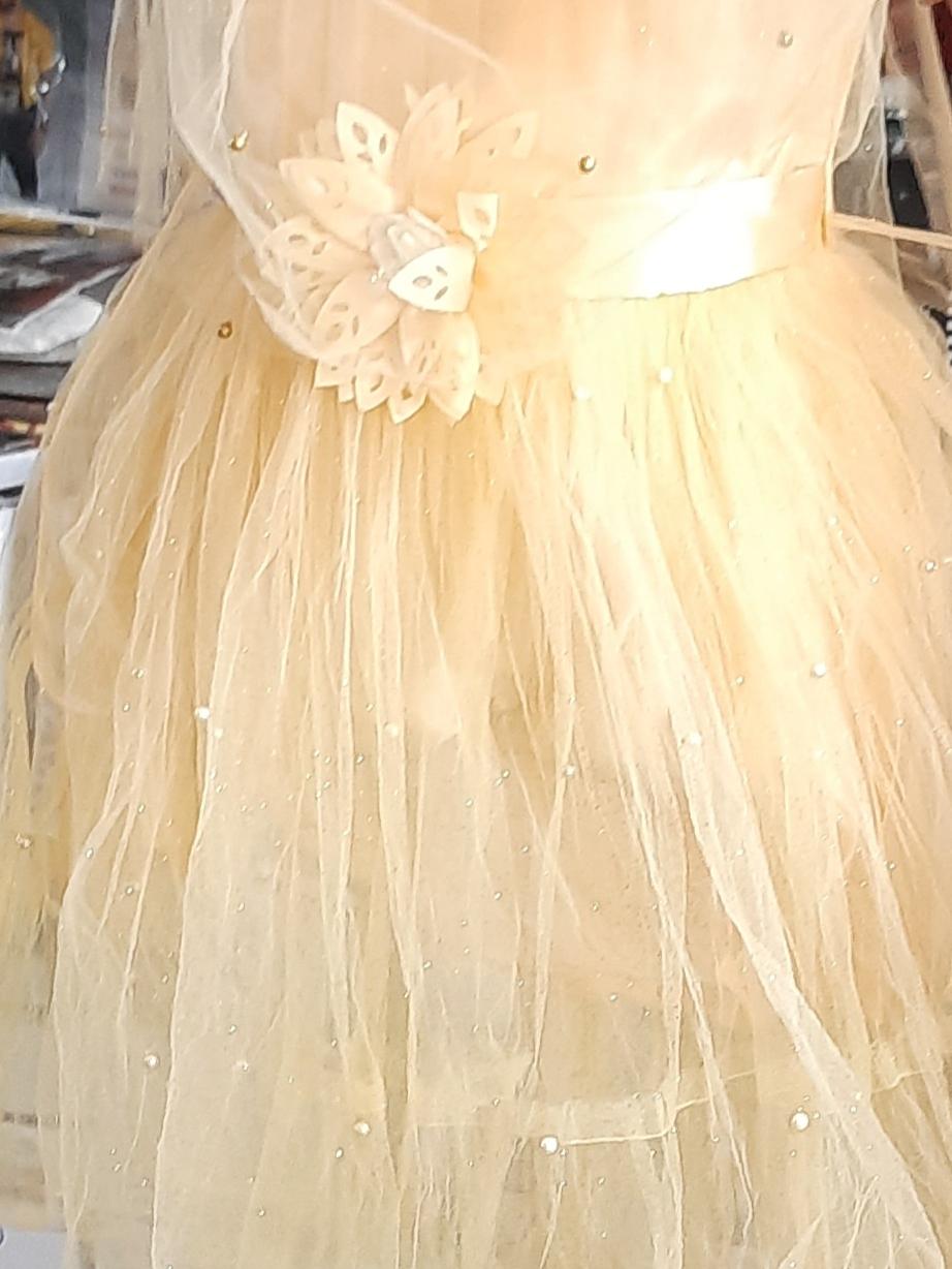frock  - 17839215 -  Standard Image - 1