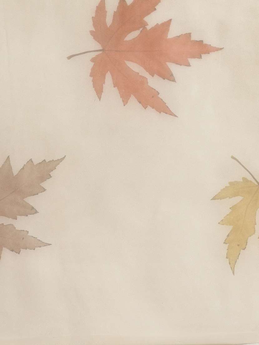 women's floral tan colored saree - 17949276 -  Standard Image - 4