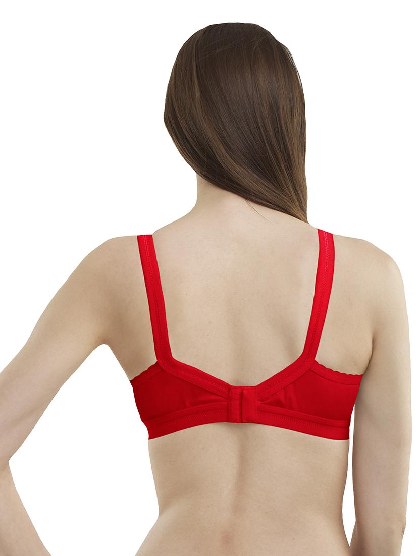set of 3 solid regular bra - 18009697 - Standard Image - 4