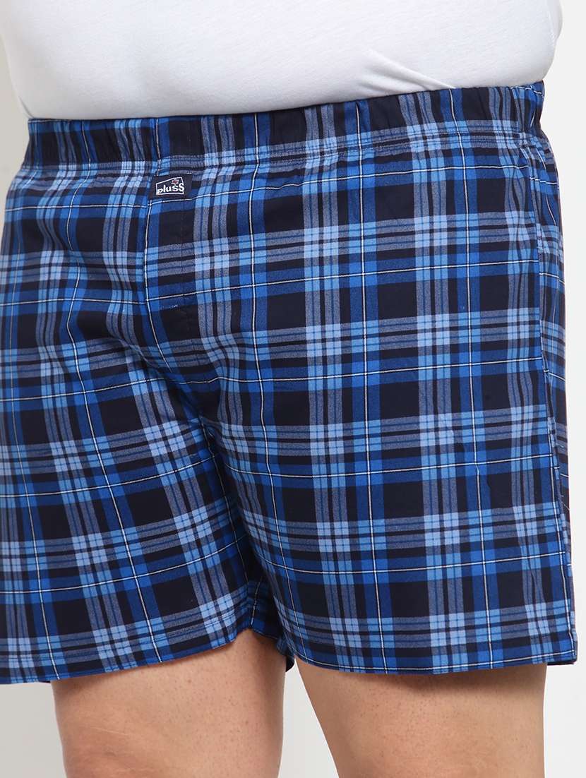blue checkered boxer - 18172094 -  Standard Image - 4