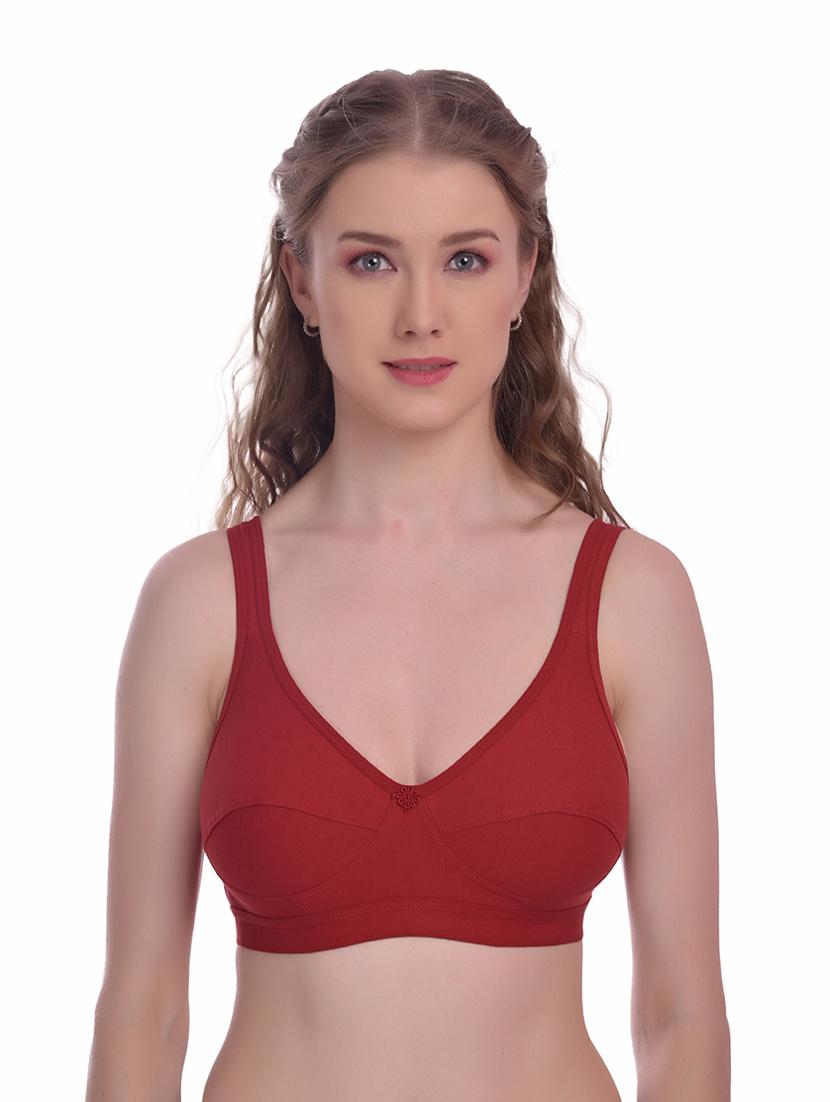 pack of 2 solid regular bra - 18367618 - Standard Image - 1