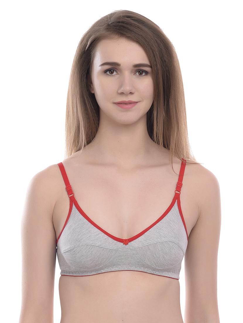 set of 2 regular bra - 18409116 - Standard Image - 4