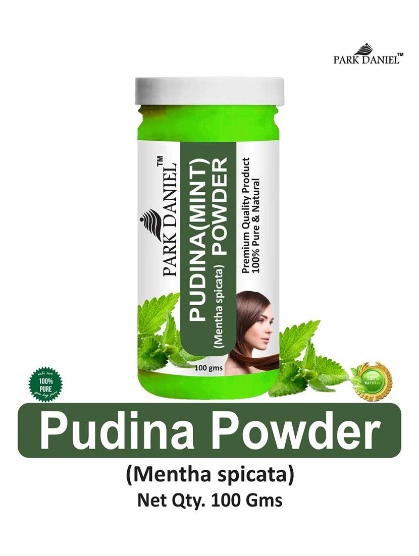 park daniel premium pudina powder (100 gms) - 18427258 -  Standard Image - 1